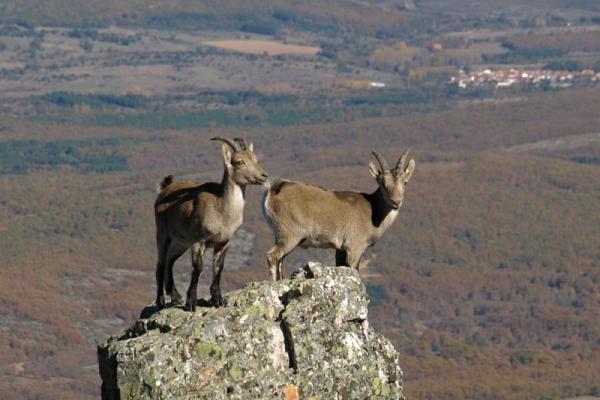 Reservas da Biosfera