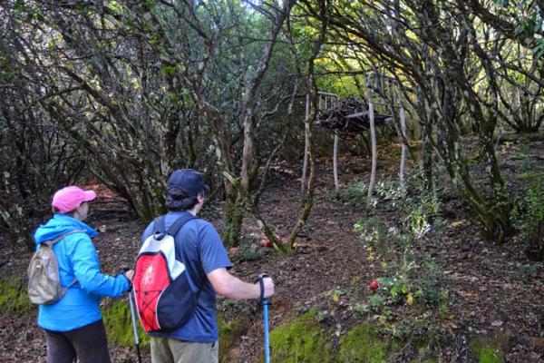 Camino de los Prodigios