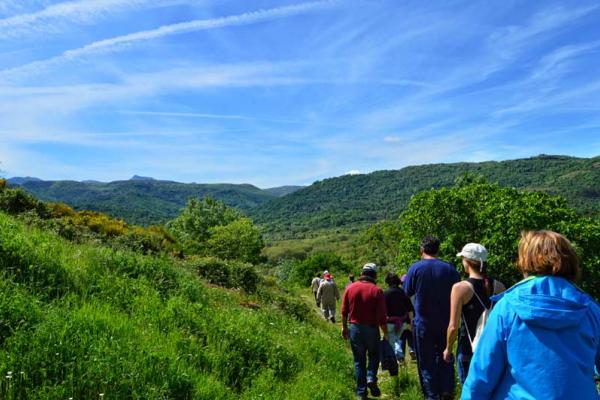 Camino de los Prodigios