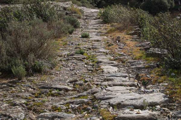 Camino de los trasiegos