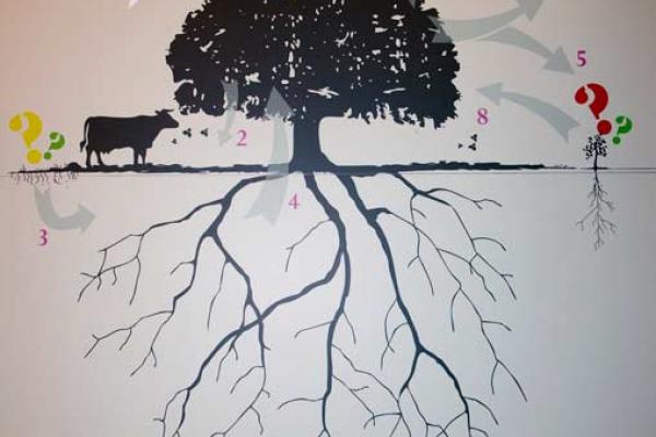 Centro de interpretación de la dehesa salmantina