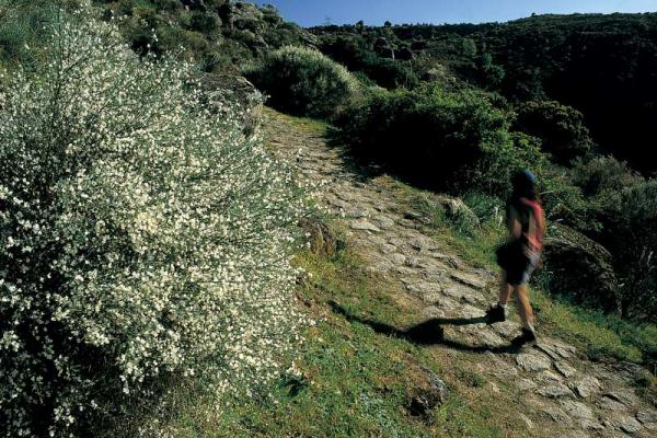 Senderismo con el brotar del campo