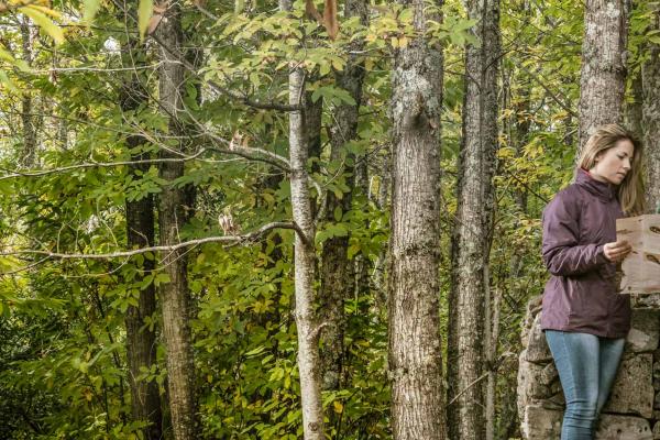 Percurso de Las Honfrías