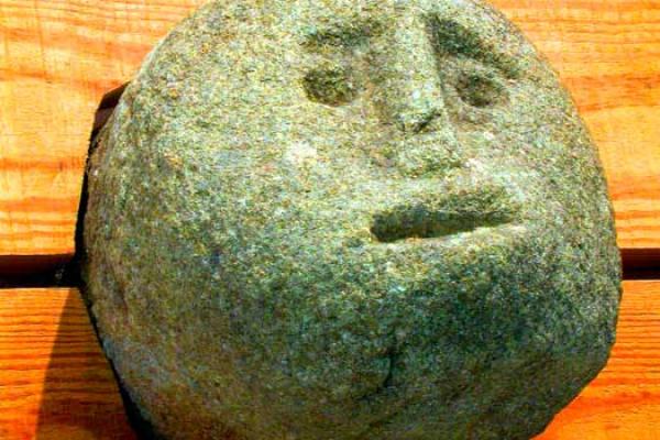 Museo del Castro de Yecla la Vieja