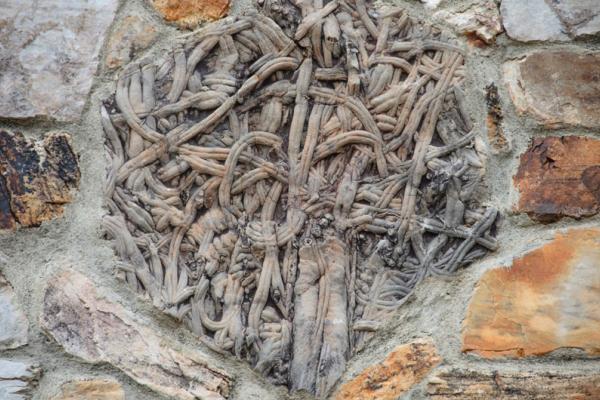 A rota dos vestígios fósseis de  Monsagro