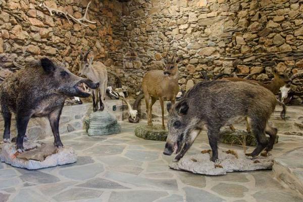 Traditional culture and hunt ethnographic museum in Monsagro 