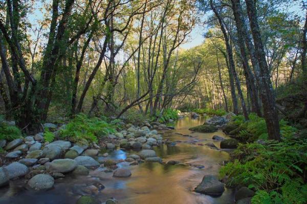 Naturaleza en La Alberca
