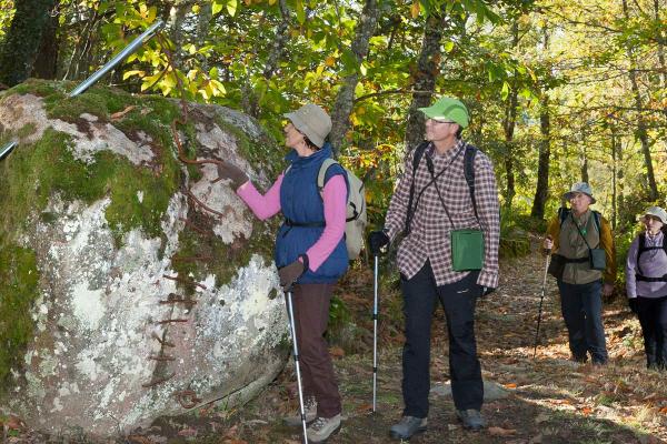 El Asentadero – Bosque de los Espejos