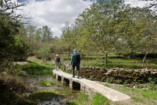 O Caminho das Raízes