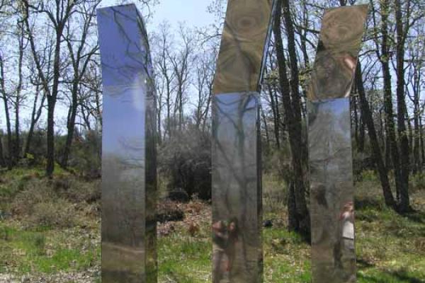 O Caminho das Raízes