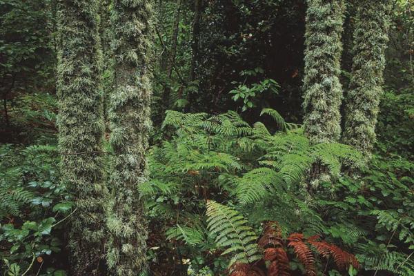 Reservas da Biosfera