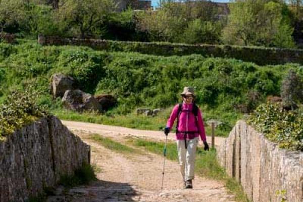 El Sendero del Aceite