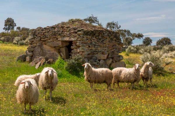 Percurso da Pedras mágicas
