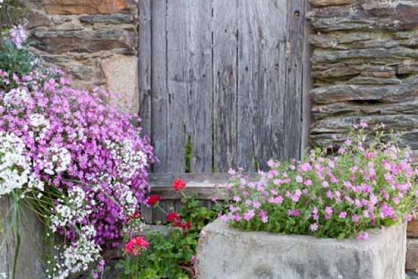 Sendero de los Frutos