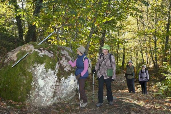 Senderismo con el brotar del campo