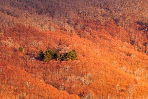 Outros lugares do município com muito sabor
