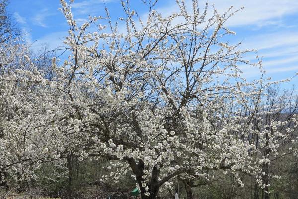 Percurso dos miradouros das Serras