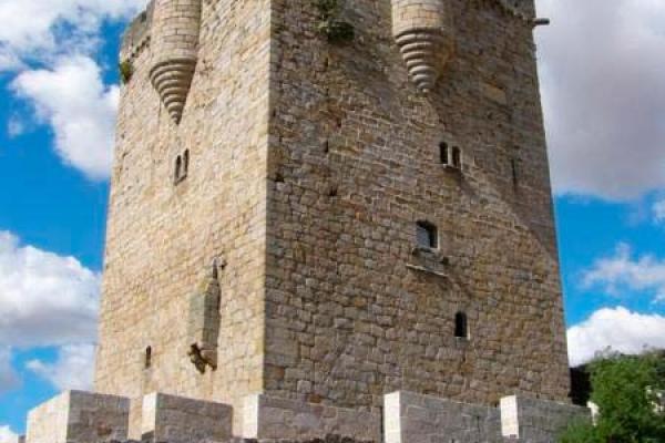 Castillo de San Felices de los Gallegos