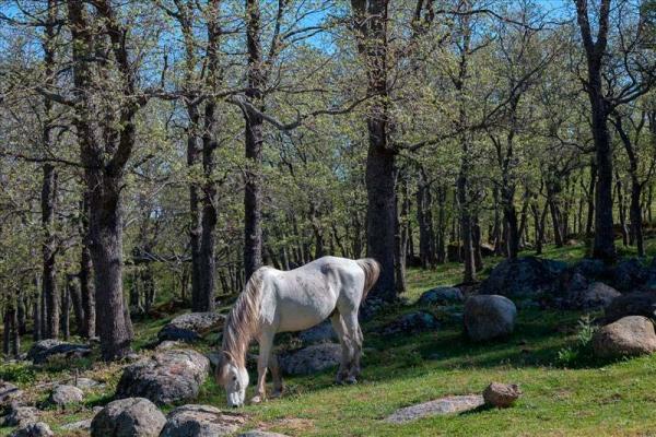 La Sierra de Candelario. Crestas y circos glaciares
