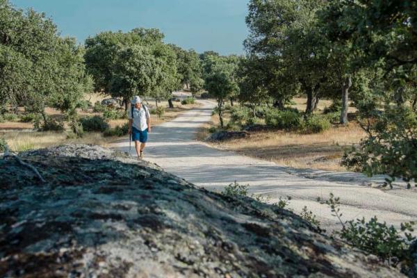 Camino de San Francisco de Asís