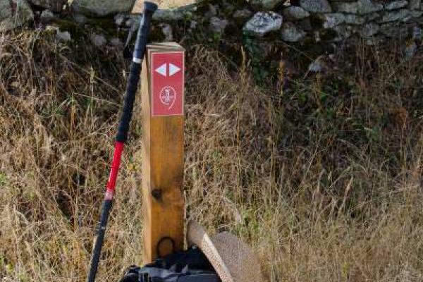 Camino de San Francisco de Asís