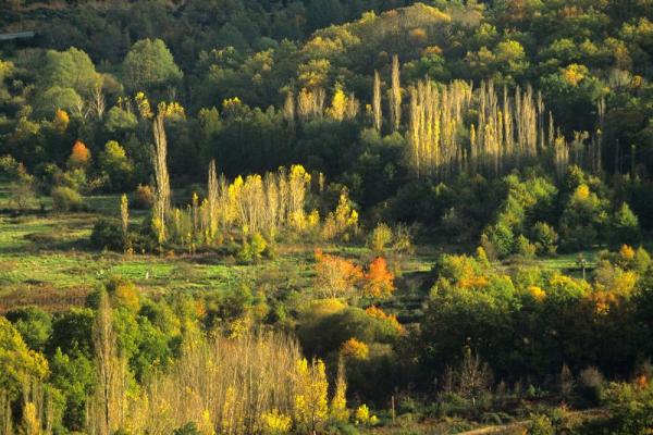 Reservas da Biosfera