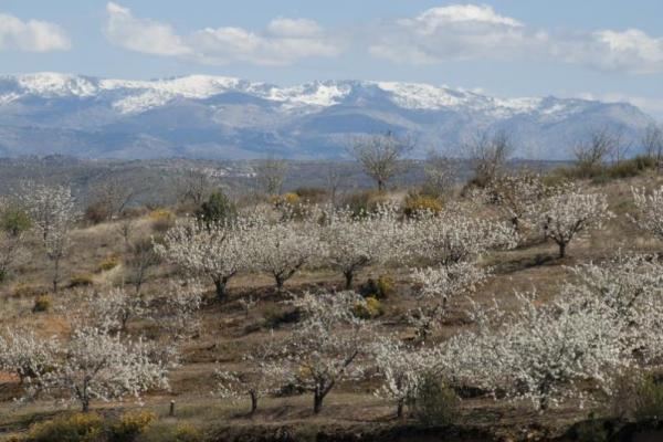 Reservas da Biosfera