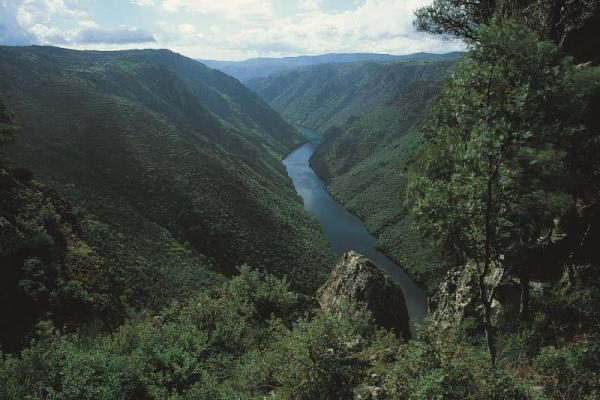 Reservas de la Biosfera