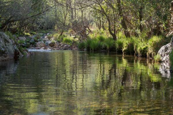 Natureza em La Alberca