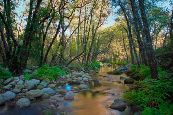 Natureza em La Alberca