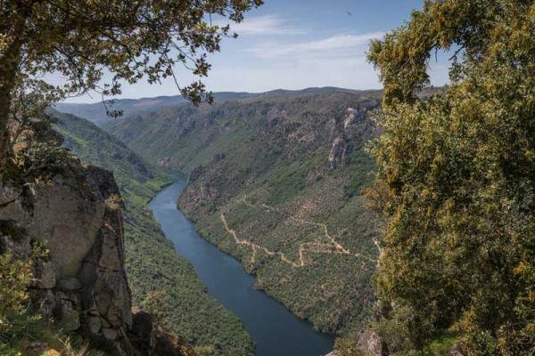 Paisajes espectaculares creados por el agua