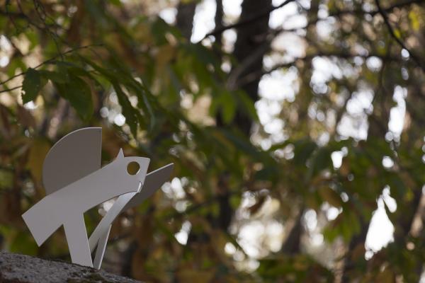 El Asentadero – Bosque de los Espejos