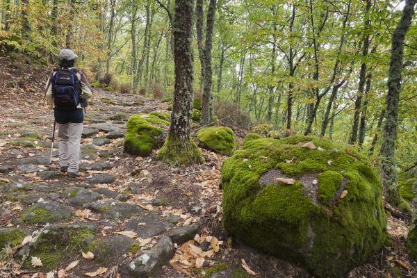 El Asentadero – Bosque de los Espejos