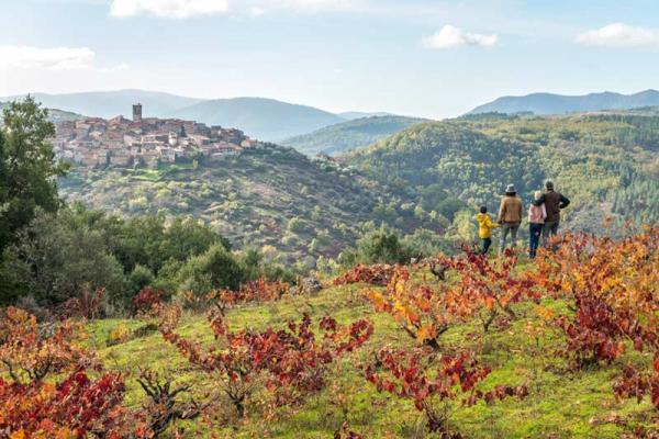 Vino Sierra de Salamanca