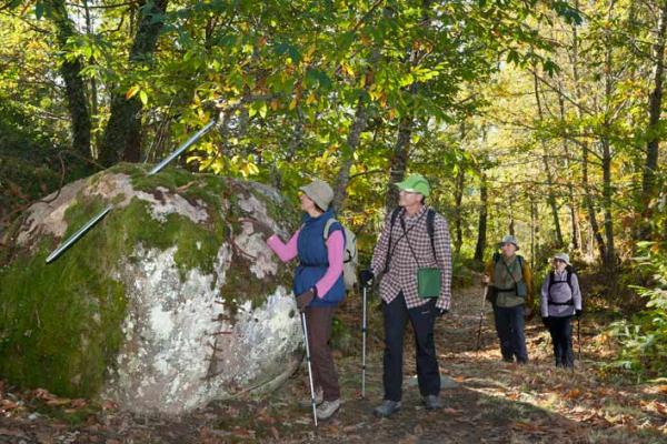 Caminos de Arte en la Naturaleza