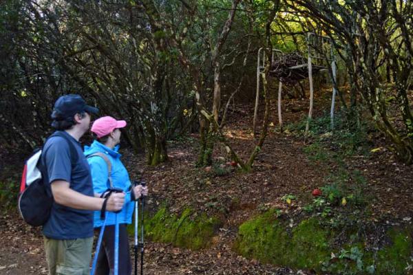 Caminos de Arte en la Naturaleza