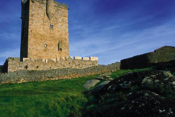Castillo de San Felices de los Gallegos