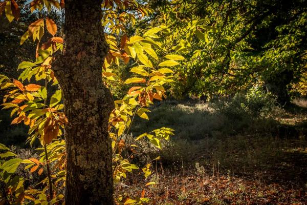 Como llegar y moverse por la provincia