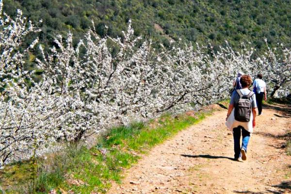 The three rivers route