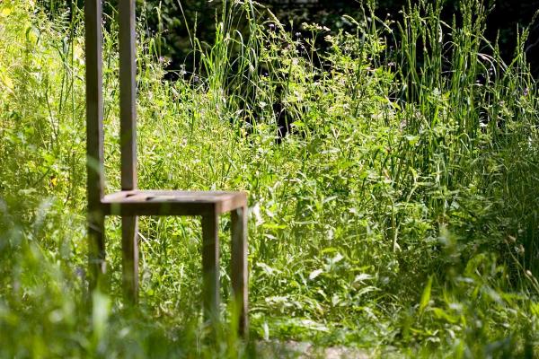 Senderismo con el brotar del campo