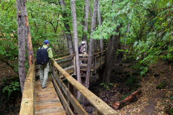 El Asentadero – Bosque de los Espejos