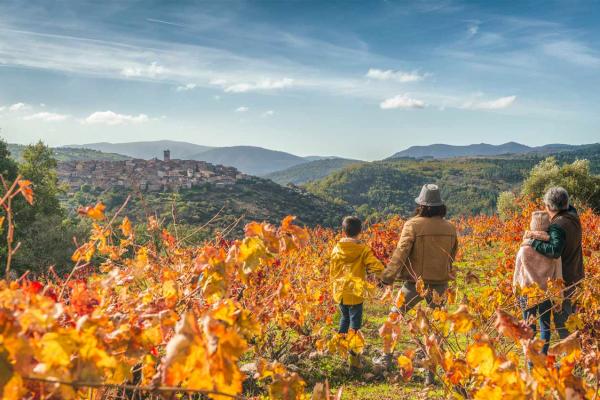 Vino Sierra de Salamanca