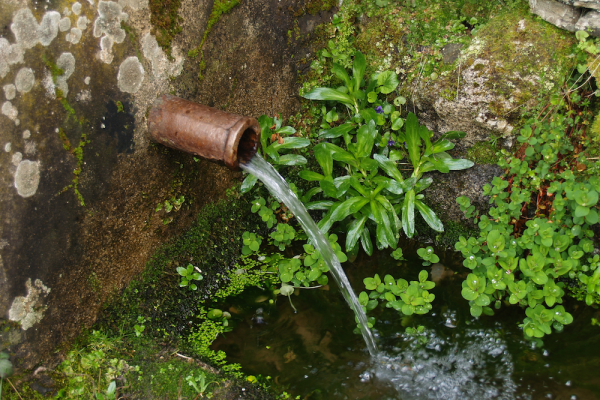Camino de los trasiegos