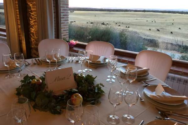 Ganadería Herederos de Miguel Zaballos. Finca “Valdelacoba”. Faenas Camperas