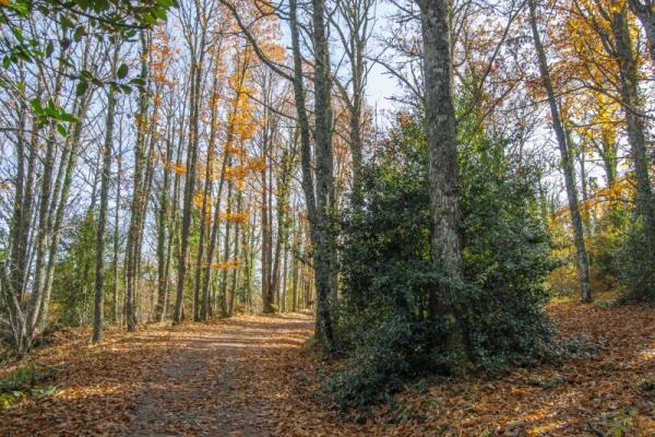 Sendero de las Honfrías
