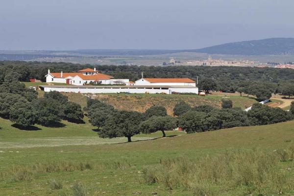 Ganadería José Cruz. Finca “Cabezal Viejo”