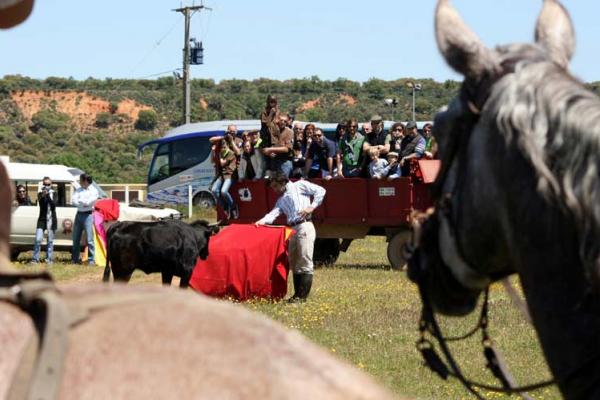 Ganadería Torrealba. Finca “La Roblicita”