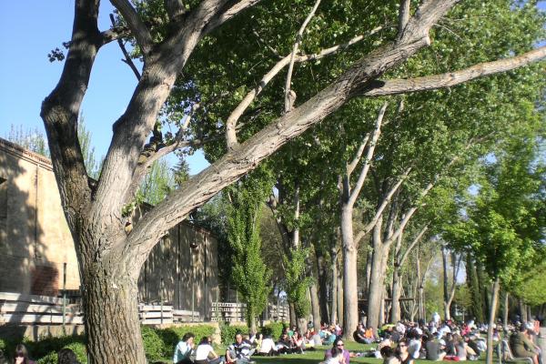 Al campo con el hornazo