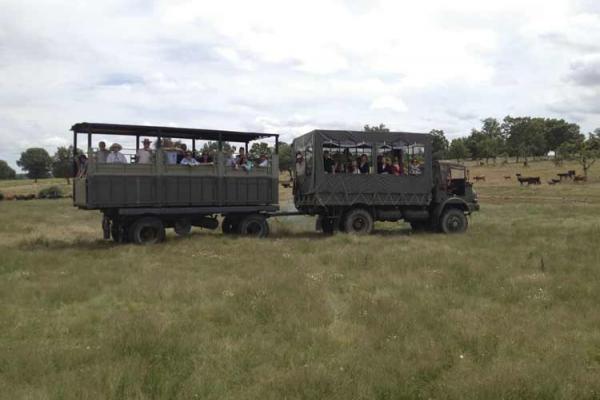 Ganadería de Herederos de Don Manuel Santos Alcalde. Finca “Los Talayos”