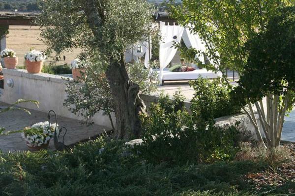 Ganadería Mercedes Pérez-Tabernero Montalvo. Finca “El Villar de Los Álamos